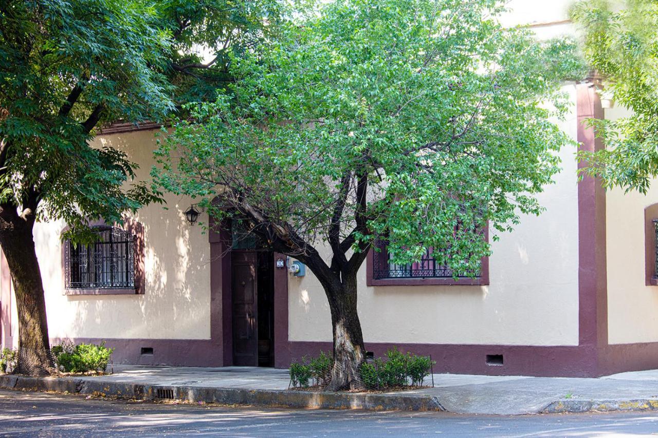 Meztli: Casa Boutique & Spa Mexico City Ngoại thất bức ảnh
